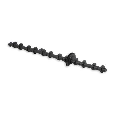 Eccentric shaft for BMW N55 engine
